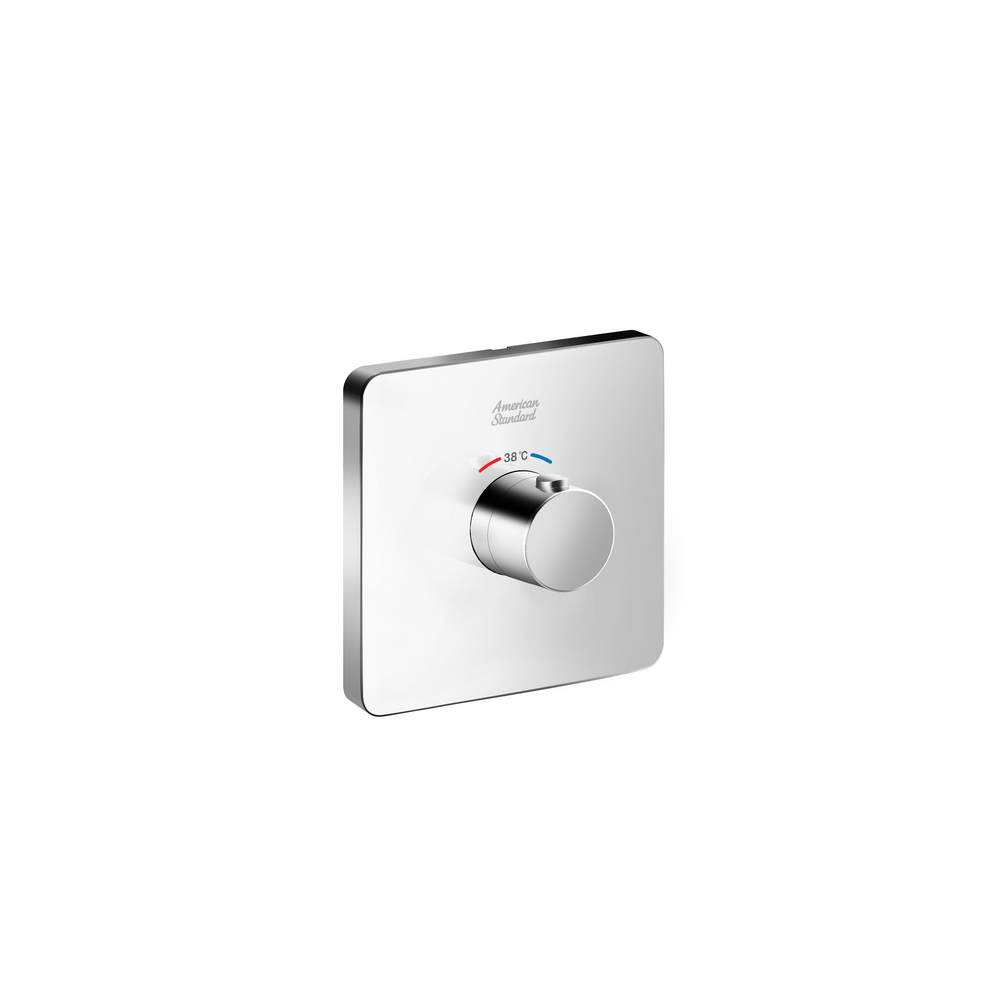 Conceal Thermostatic Mixer w/ Trim
