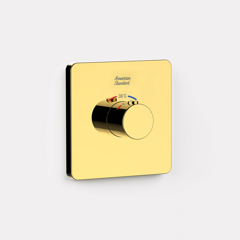 Conceal Thermostatic Mixer w/ Trim (Cool Sunrise)